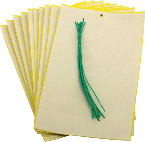 לוח דביק ללכידת חרקים (10 יח') GREEN STICKY