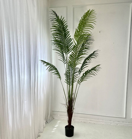 עץ דקל ענק 230סמ