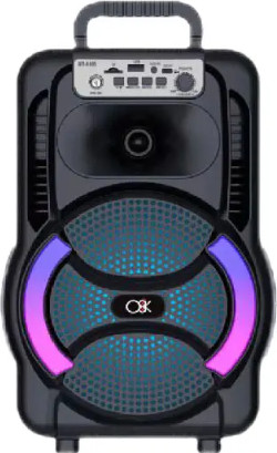 רמקול בגודל 8 אינץ’ עם מיקרופון חוטי BTSPK8 BLUETOOTH
