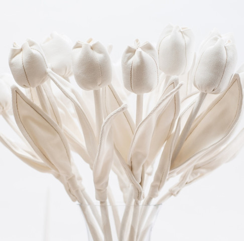 מארז של עשרה פרחים לבנים מגינס מסוג Tulip