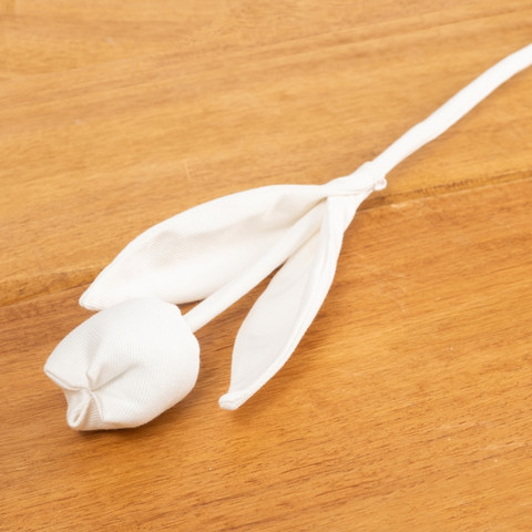 מארז של עשרה פרחים לבנים מגינס מסוג Tulip