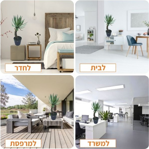 עציץ מלאכותי 'קקטוס חיצים' 55 ס"מ ריאליסטי ואותנטי