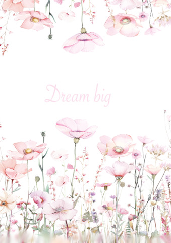תמונה- dream big little one