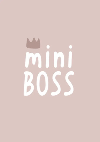 תמונה-mini boss