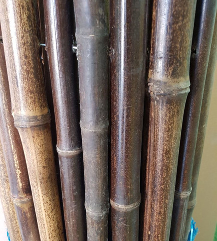 במבוק מושחל 30-35 שחור 2*2 - Garden Top