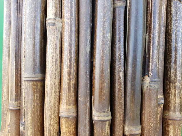 במבוק מושחל 30-35 שחור 2*2 - Garden Top