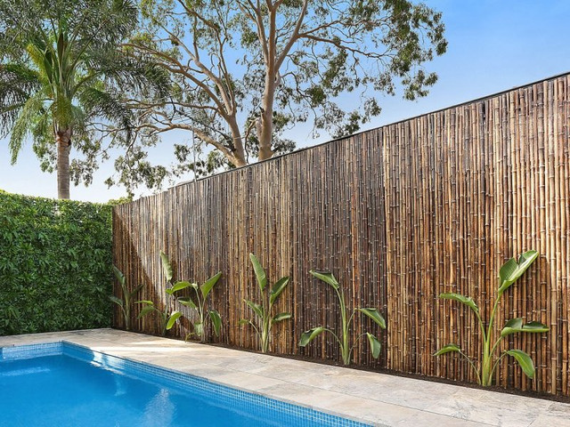 במבוק מושחל 30-35 שחור 1.5*2 - Garden Top
