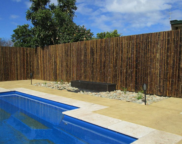 במבוק מושחל 30-35 שחור 1.5*2 - Garden Top