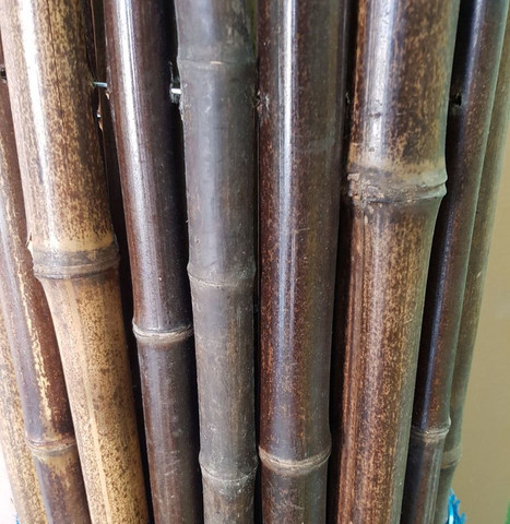 במבוק מושחל 30-35 שחור 1.5*2 - Garden Top
