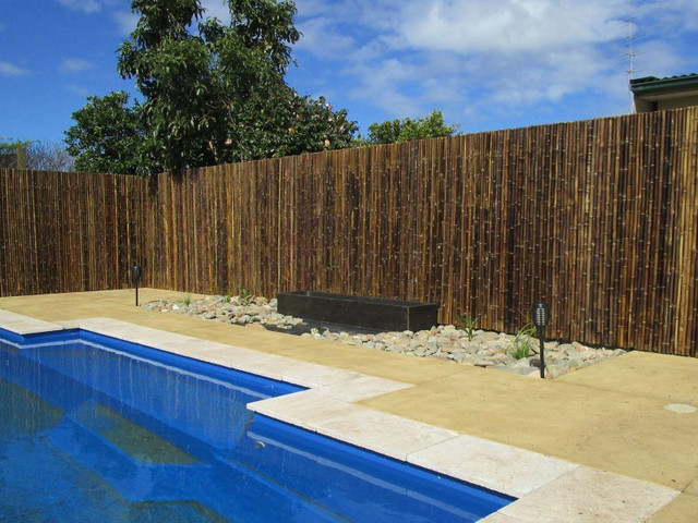 במבוק מושחל 30-35 שחור 1*2 - Garden Top