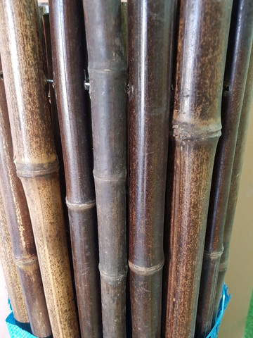 במבוק מושחל 30-35 שחור 1*2 - Garden Top