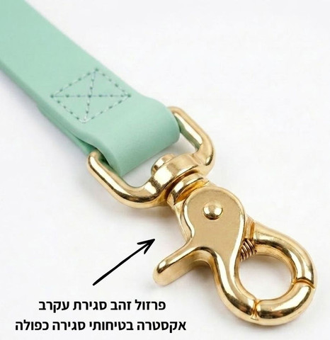 רצועה לכלב 1.2 מטר מסיליקון  עמיד למים 20 מ״מ |  ירוק