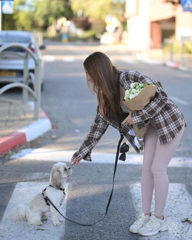סט טיול לכלב רצועת מצבים ללא ידיים קולר ותיק לשקיות תואם | שחור יוקרתי