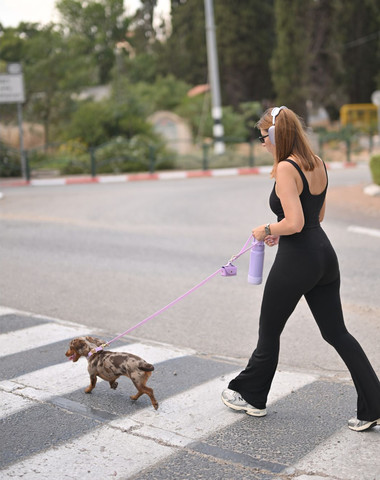 רצועת אחיזה לכלב 20 מ״מ + קולר + תיק לשקיות | סגול