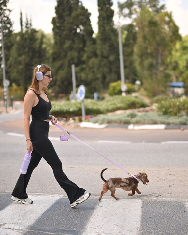 רצועת אחיזה לכלב 20 מ״מ + קולר + תיק לשקיות | סגול