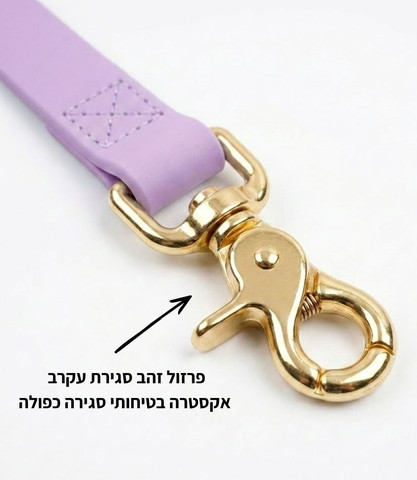 רצועת אחיזה לכלב 20 מ״מ + קולר + תיק לשקיות | סגול