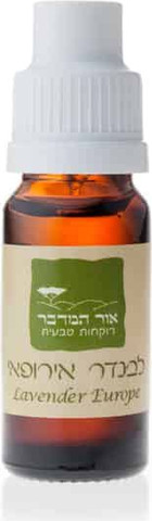 שמן אתרי לבנדר 100% טהור Lavandula angustifolia