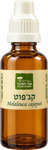 שמן אתרי קג’פוט 100% טהור Melaleuca cajaputi