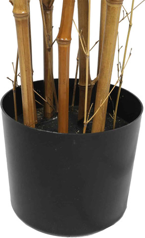 עץ במבוק טבעי 1.20 מטר