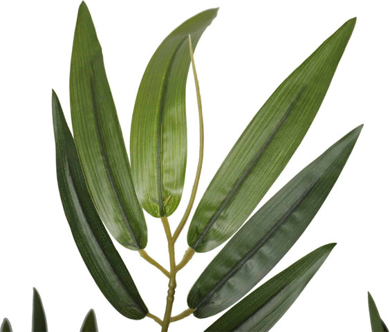 עץ במבוק טבעי 1.20 מטר