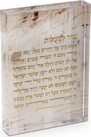 מעמד אקריל שיר למעלות