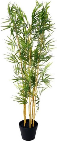 עציץ במבוק 195 עלים 120 ס״מ