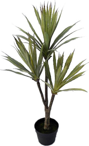 צ'יקס משולש חיצים 3 ראשים