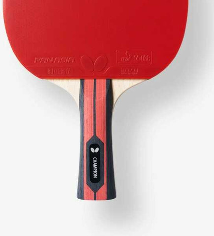 מחבט בטרפליי Team Butterfly Champion