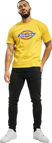 טי שירט Dickies לגברים