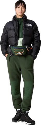 מעיל The North Face לנשים