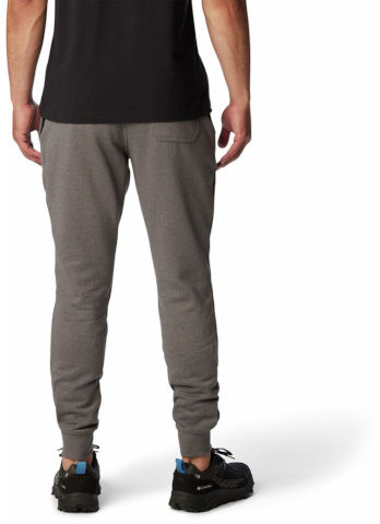 מכנסי אימון לגברים CSC Logo Fleece Jogger II city grey