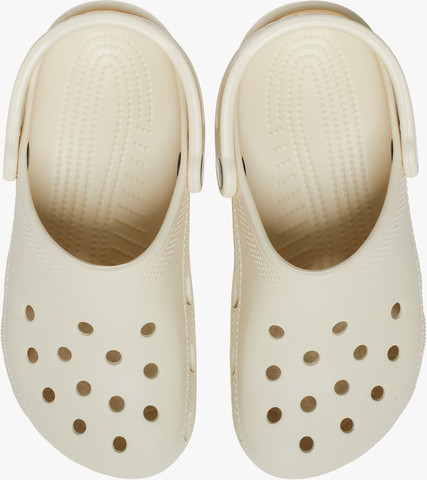 Crocs Classic - כפכפי קרוקס קלאסים בצבע קרם