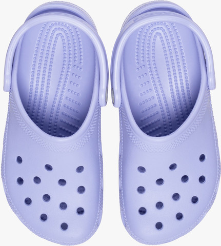 Crocs Classic - כפכפי קרוקס קלאסים בצבע סגול מיסטי