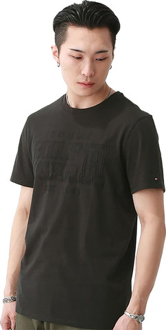 טי שירט Tommy Hilfiger לגברים דגם Classics Slim Fit