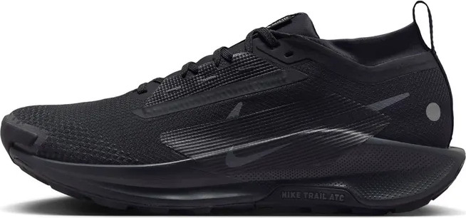 Nike Pegasus Trail 5 GORE-TEX FQ0908-002 נעלי ריצה