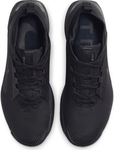 Nike Pegasus Trail 5 GORE-TEX FQ0908-002 נעלי ריצה