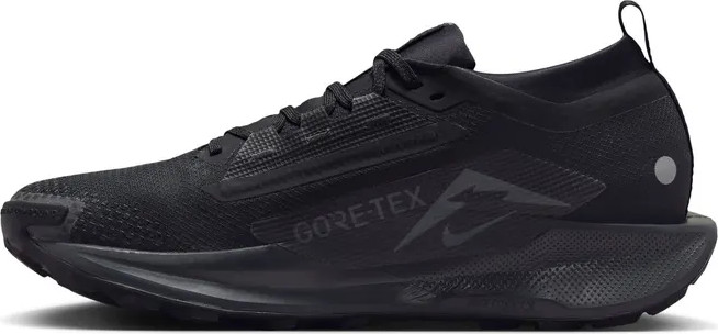 Nike Pegasus Trail 5 GORE-TEX FQ0908-002 נעלי ריצה