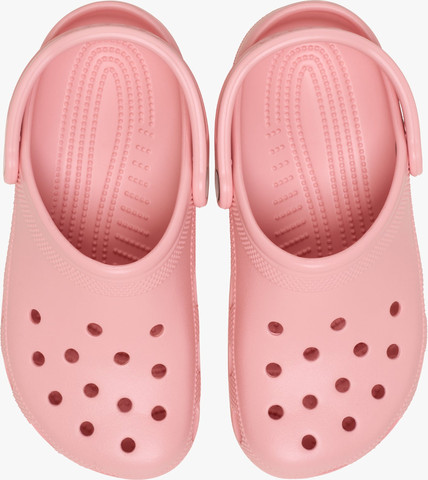 Crocs Classic - כפכפים קלאסיים קרוקס בצבע ורוד אבקתי