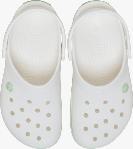 Crocs Crocband - נעלי קרוקס קרוקבנד בצבע לבן/ירוק שליו