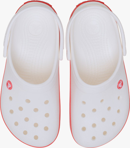 Crocs Crocband - נעלי קרוקס קרוקבנד בצבע לבן/סטארפיש