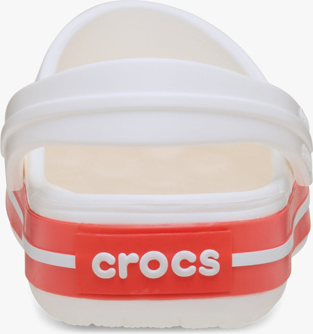 Crocs Crocband - נעלי קרוקס קרוקבנד בצבע לבן/סטארפיש