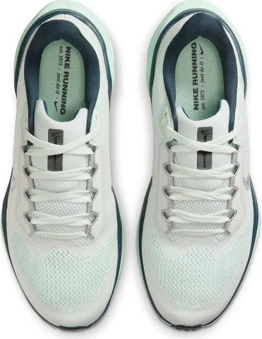 Nike Pegasus 41 FD2723-405 נעלי ריצה