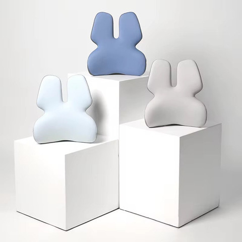 כרית משענת גב אורטופדית OrthoBack