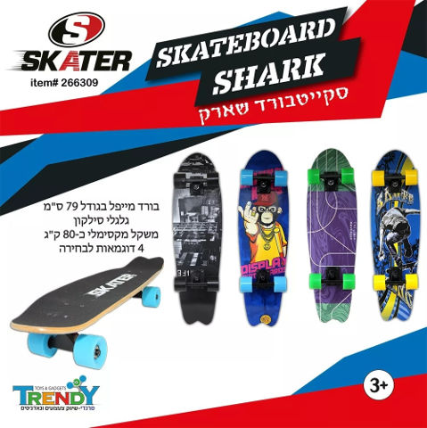 סקייטבורד מקצועי - תמונת גולש