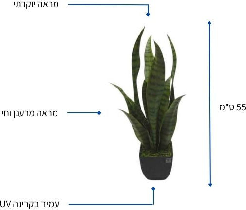 עציץ מלאכותי 'סנסיווריה ירוקה' 55 ס"מ בעל טקסטורה טבעית