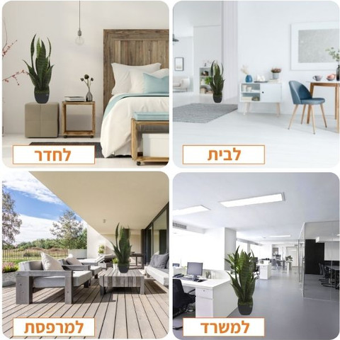 עציץ מלאכותי 'סנסיווריה ירוקה' 55 ס"מ בעל טקסטורה טבעית