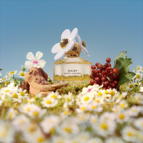 DAISY א.ד.ט לאשה