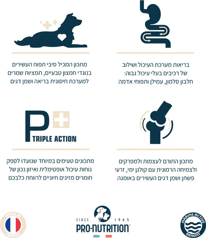 מנוי אוכל לחתולים | שלושה שקים במשקל 10 קילוגרם בחירת מזון Adult Medium