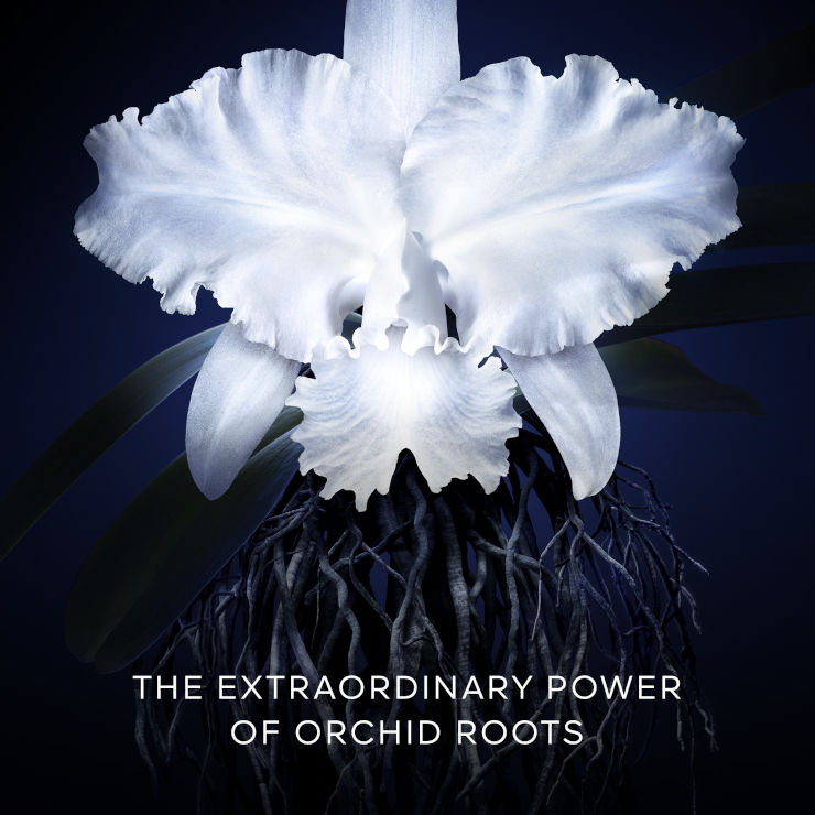 ORCHIDEE IMPERIALE קרם פנים טיפול התחדשות יוצא דופן