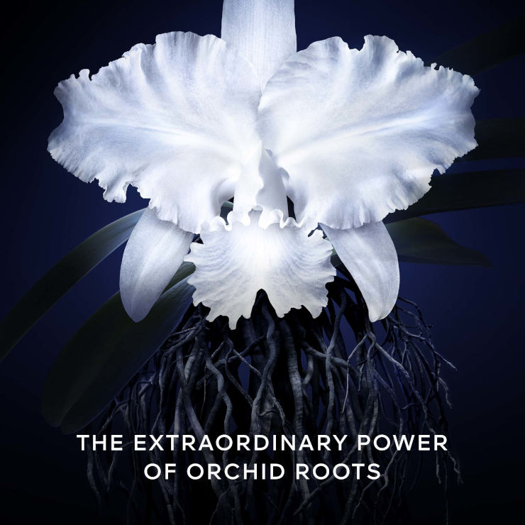 ORCHIDEE IMPERIALE מילוי לקרם פנים במרקם לייט